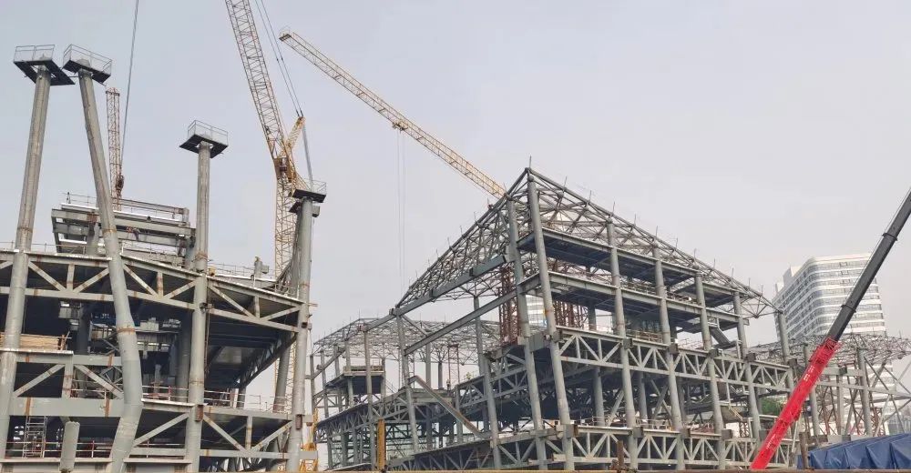 自然与人文的交响 | 成都自然博物馆(图8)