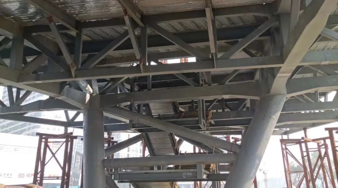 自然与人文的交响 | 成都自然博物馆(图9)